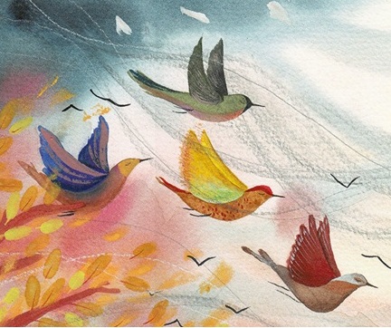 Nagradni natečaj KAM LETIJO PTICE